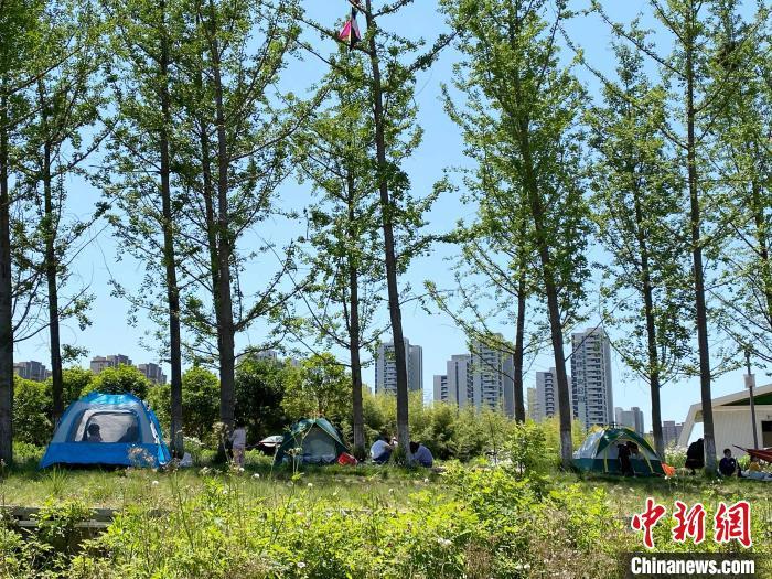 资料图：民众在西安南郊一公园内露营。　张一辰 摄