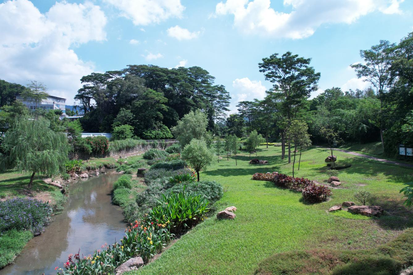 车陂涌两岸生态绿地68通讯员供图