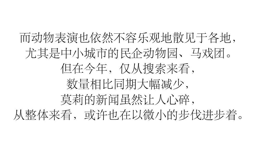 为什么我们难以救助“小象莫莉们”？休闲区蓝鸢梦想 - Www.slyday.coM