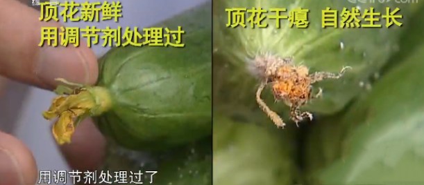 买土豆，脆的面的差别太大了！颜色不同口感也不同，10个人里9个买错！休闲区蓝鸢梦想 - Www.slyday.coM