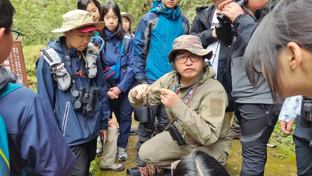 为什么我们难以救助“小象莫莉们”？休闲区蓝鸢梦想 - Www.slyday.coM