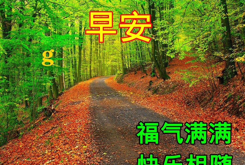 早上好动态鲜花表情图片带祝福语早安问候祝福语贴心说说