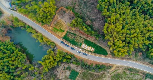 地址:安徽省合肥市庐江县龙桥镇东南凌安村龙桥镇凌安村万亩竹海一