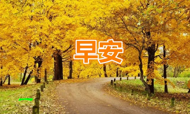 早上好动态鲜花表情图片带祝福语早安问候祝福语贴心说说