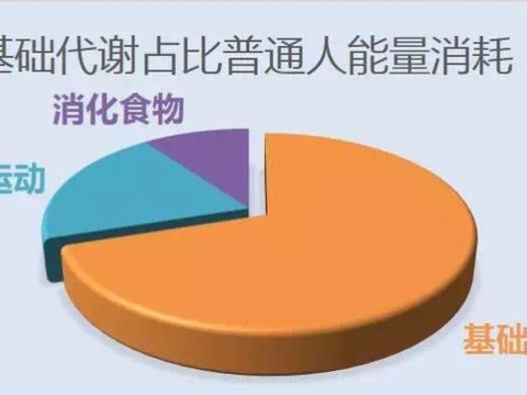 基础代谢，每十年会下降2%左右，虽然很小却可能是中年变胖的主因|代谢|减脂|热量_新浪新闻