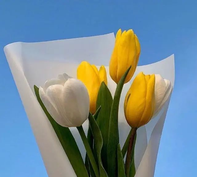 适合母亲节给妈妈的祝福语精选，简短温馨，暖人心窝！休闲区蓝鸢梦想 - Www.slyday.coM