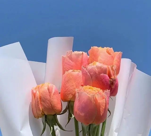 适合母亲节给妈妈的祝福语精选，简短温馨，暖人心窝！休闲区蓝鸢梦想 - Www.slyday.coM