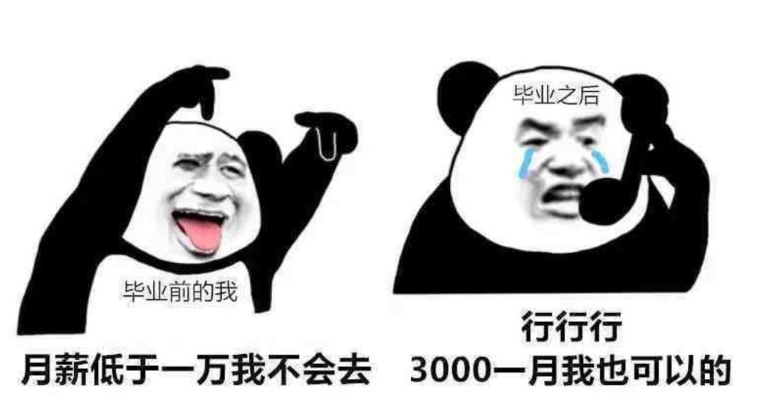 当代大学生求职现状预期无限度下调月薪高于房租就能接受