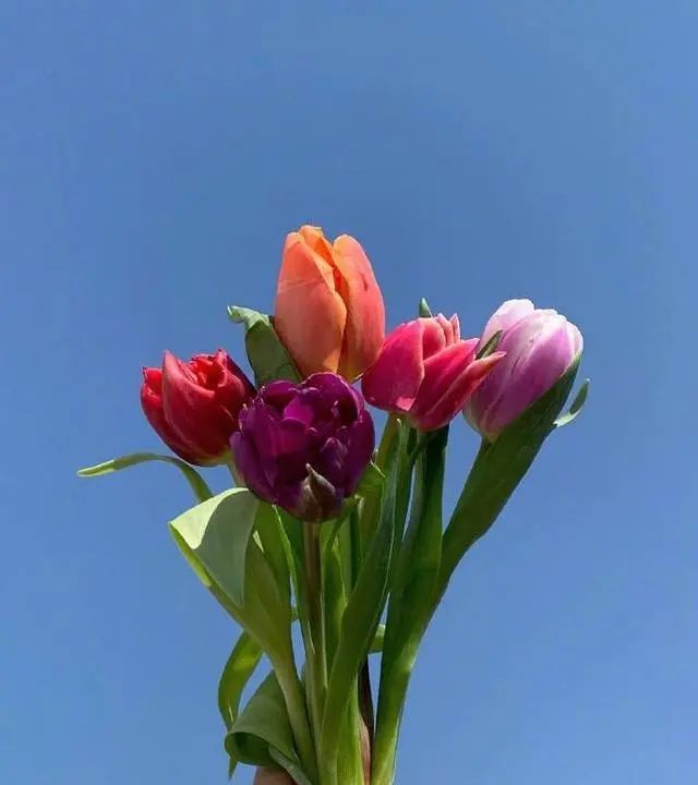 适合母亲节给妈妈的祝福语精选，简短温馨，暖人心窝！休闲区蓝鸢梦想 - Www.slyday.coM