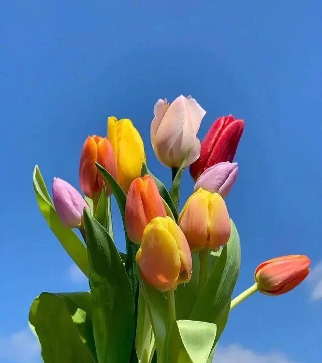 适合母亲节给妈妈的祝福语精选，简短温馨，暖人心窝！休闲区蓝鸢梦想 - Www.slyday.coM