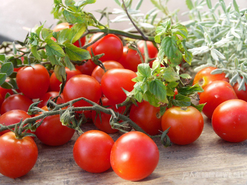 4种应季蔬菜要常吃清热解暑体质好轻松舒心度夏天