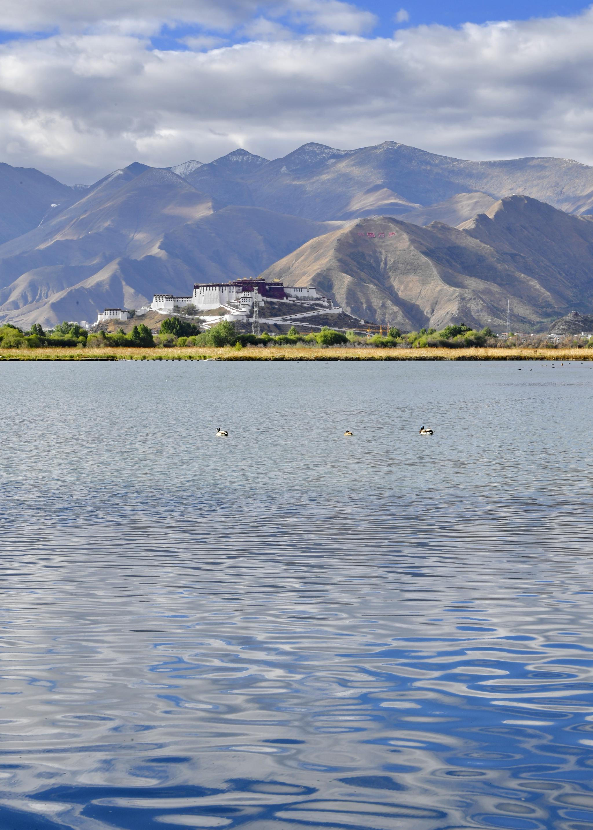 "高原水城"拉萨|拉萨市|高原|布达拉宫_新浪新闻