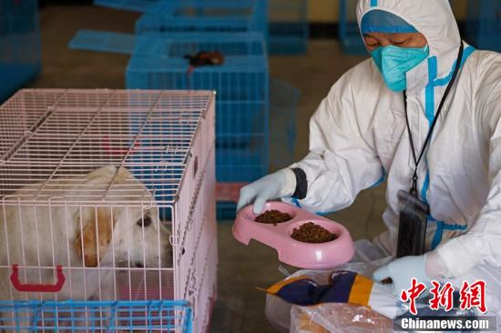 （上海战疫录）上海“动物方舱”迎来首位“客人”休闲区蓝鸢梦想 - Www.slyday.coM