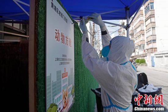 （上海战疫录）上海“动物方舱”迎来首位“客人”休闲区蓝鸢梦想 - Www.slyday.coM