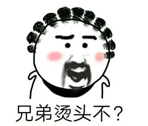 男子烫发被分成12个头皮区每区398元更崩溃的是