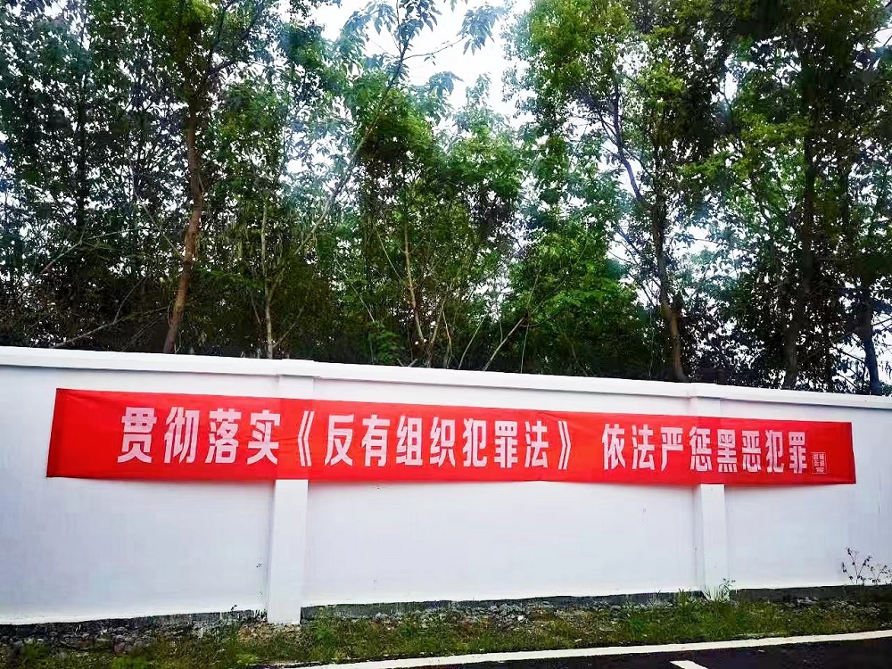 高淳固城宣传贯彻反有组织犯罪法推动扫黑除恶斗争常态化