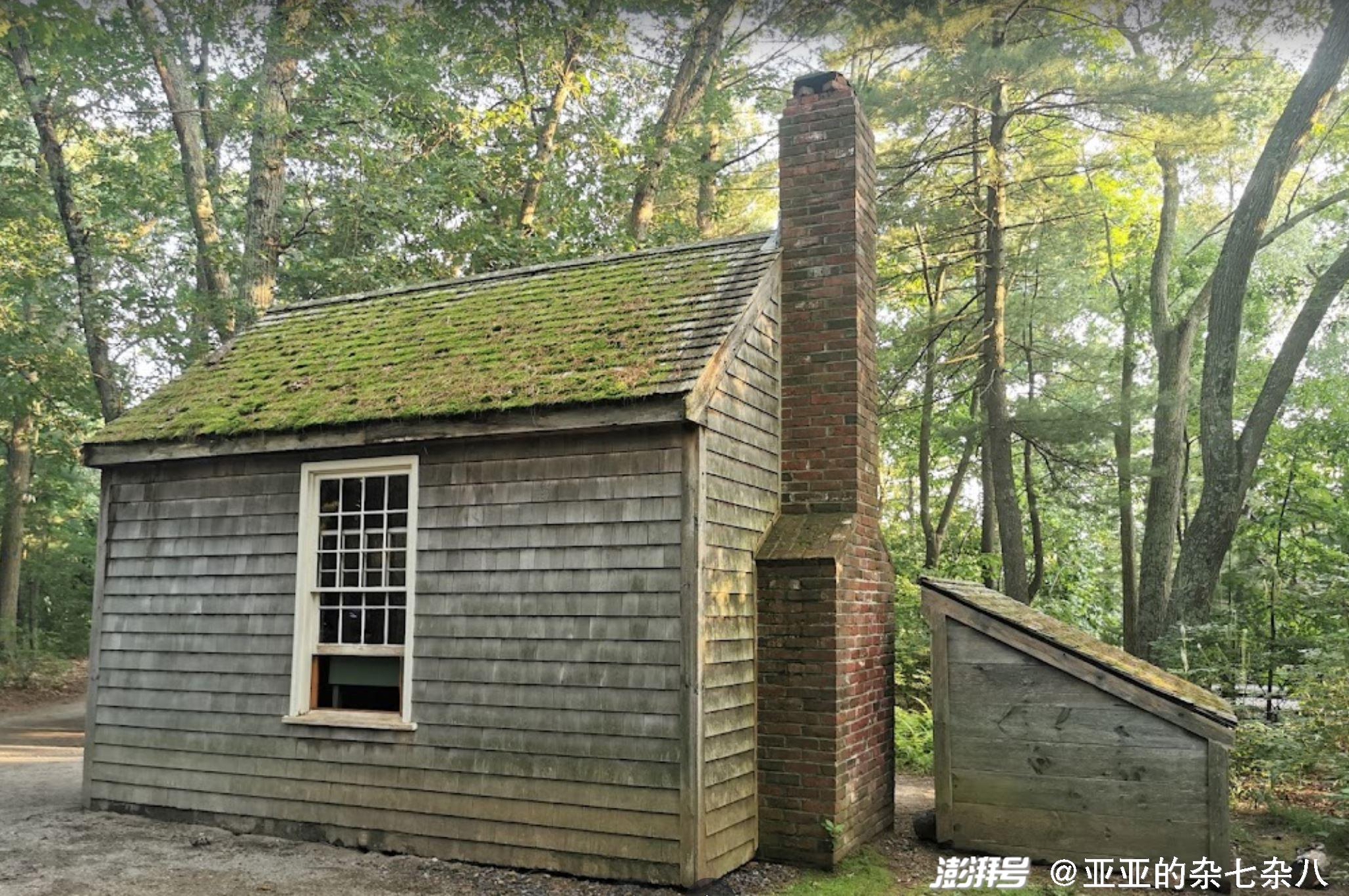 疫路同行抵达我们心中的瓦尔登湖