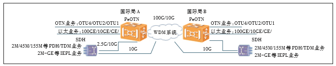 图1 当前国际传输专线承载方式