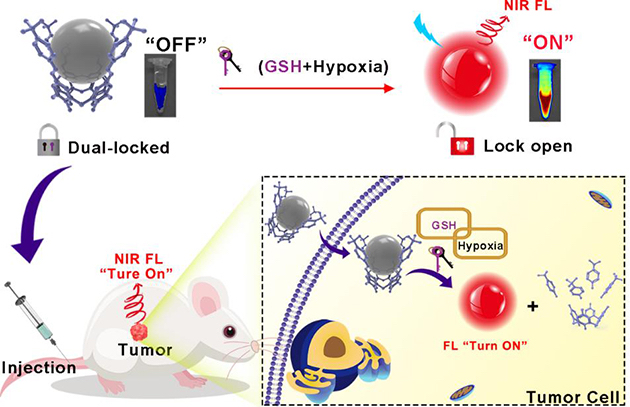 双锁近红外荧光探针为精准肿瘤成像和肿瘤诊断提供了技术手段