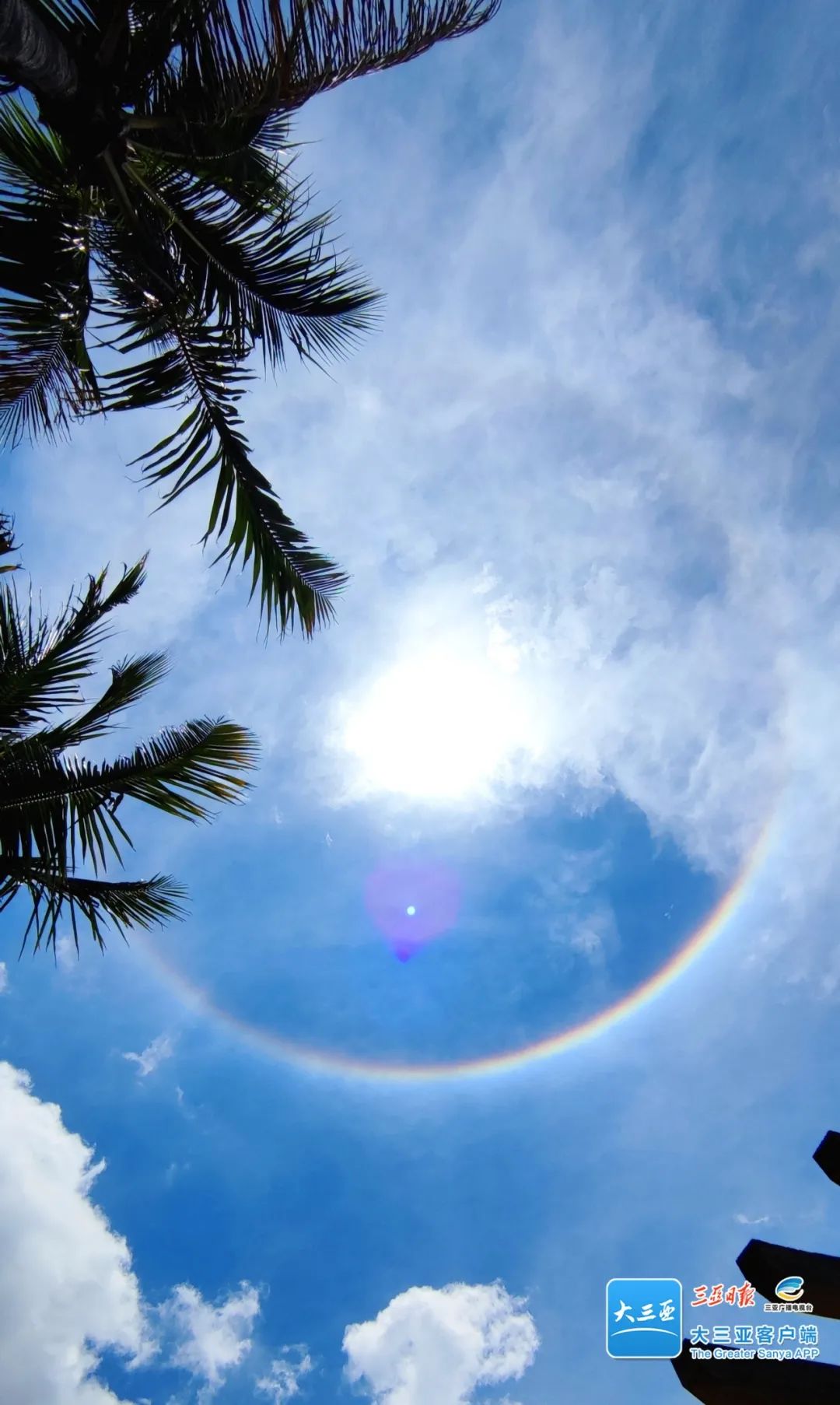 太美今天被三亚的太阳惊艳到了