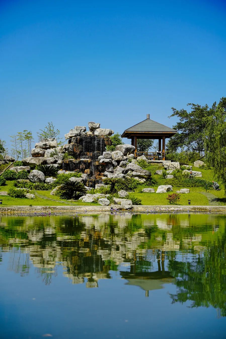 成都锦城学院,生日快乐!