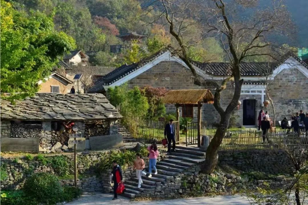 湖北远安:近郊“轻度假” 火爆乡村游