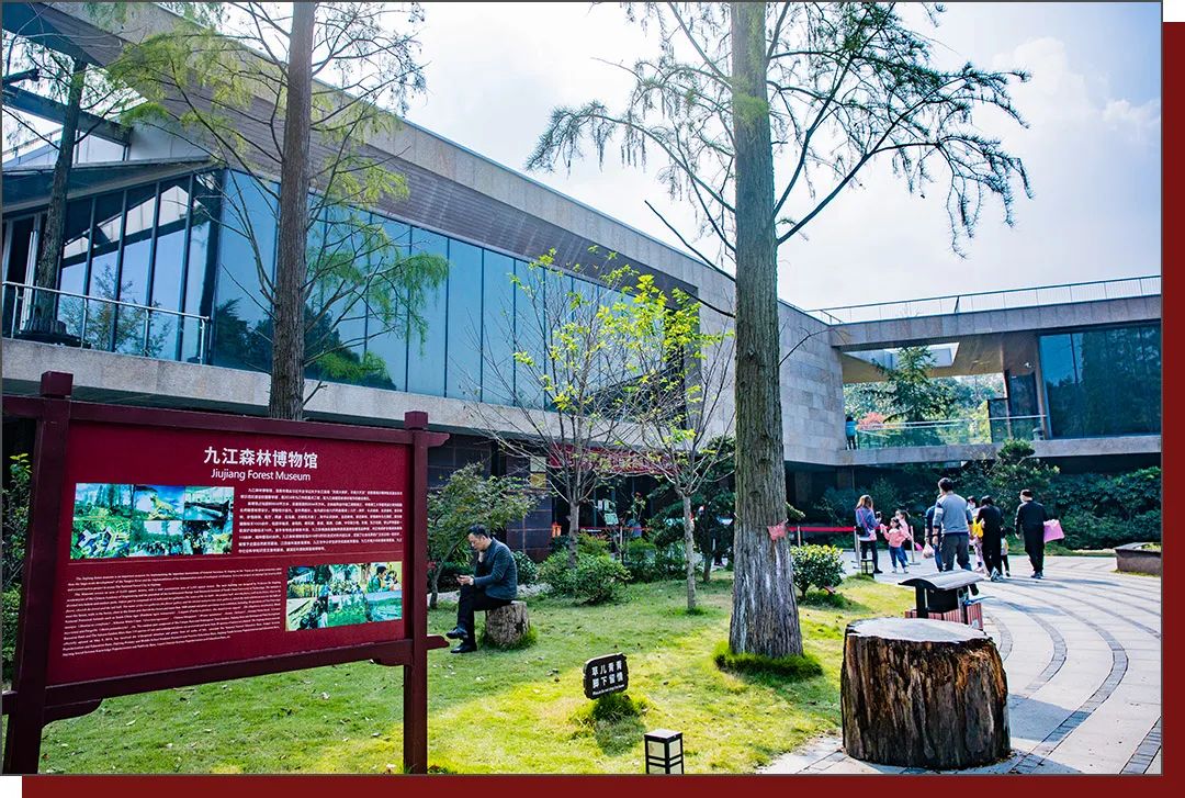 九江历史上的今天 · 5月9日 · 九江森林博物馆休闲区蓝鸢梦想 - Www.slyday.coM 九江历史上的今天 · 5月9日 · 九江森林博物馆休闲区蓝鸢梦想 - Www.slyday.coM