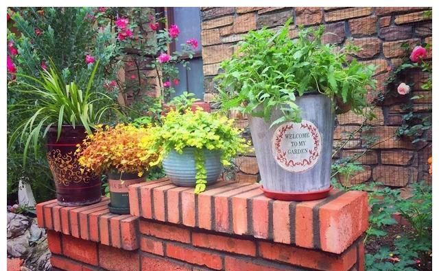 家里没地方,也可以用一段红砖矮墙来造景,砖的铺贴方式切忌同一种铺贴