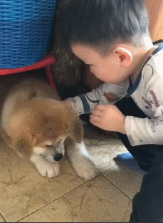 小主人第一次见到秋田犬,就直接贴脸去亲近它,看来孩子是真喜欢休闲区蓝鸢梦想 - Www.slyday.coM 小主人第一次见到秋田犬,就直接贴脸去亲近它,看来孩子是真喜欢休闲区蓝鸢梦想 - Www.slyday.coM