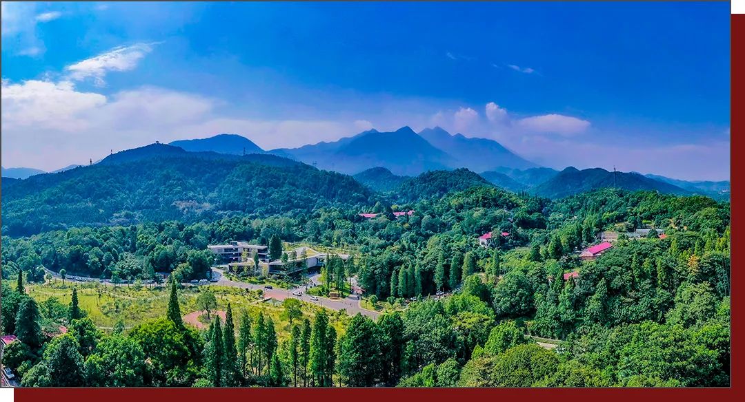 九江历史上的今天 · 5月9日 · 九江森林博物馆休闲区蓝鸢梦想 - Www.slyday.coM