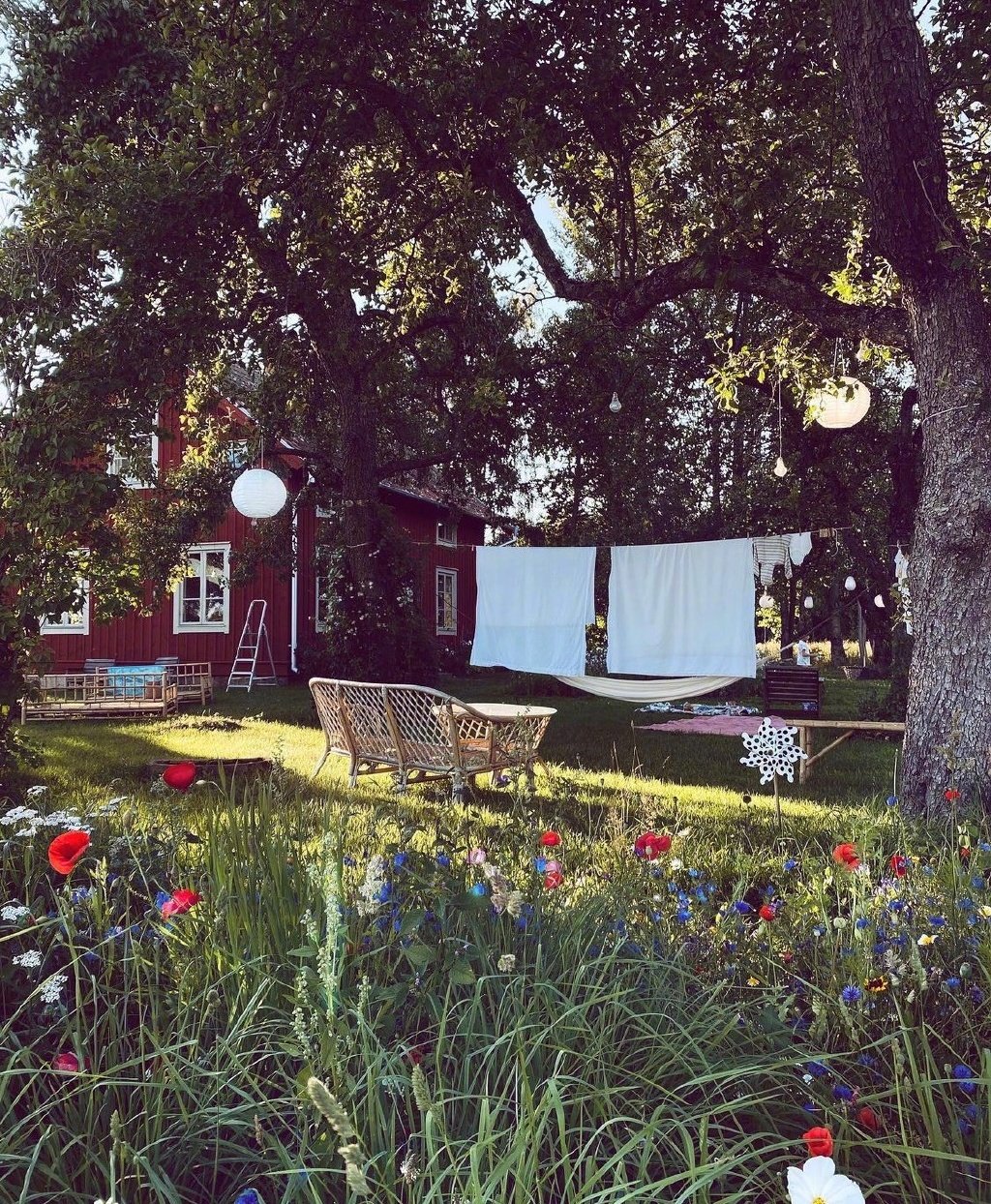 理想的生活远离纷扰与世无争