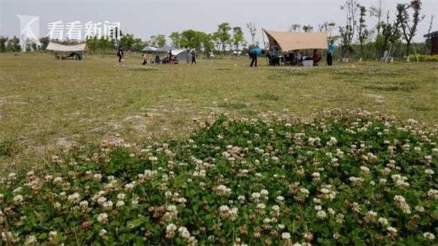 成都：亲子“客厅”摆上绿地  “公园城市”刮起“露营风”休闲区蓝鸢梦想 - Www.slyday.coM