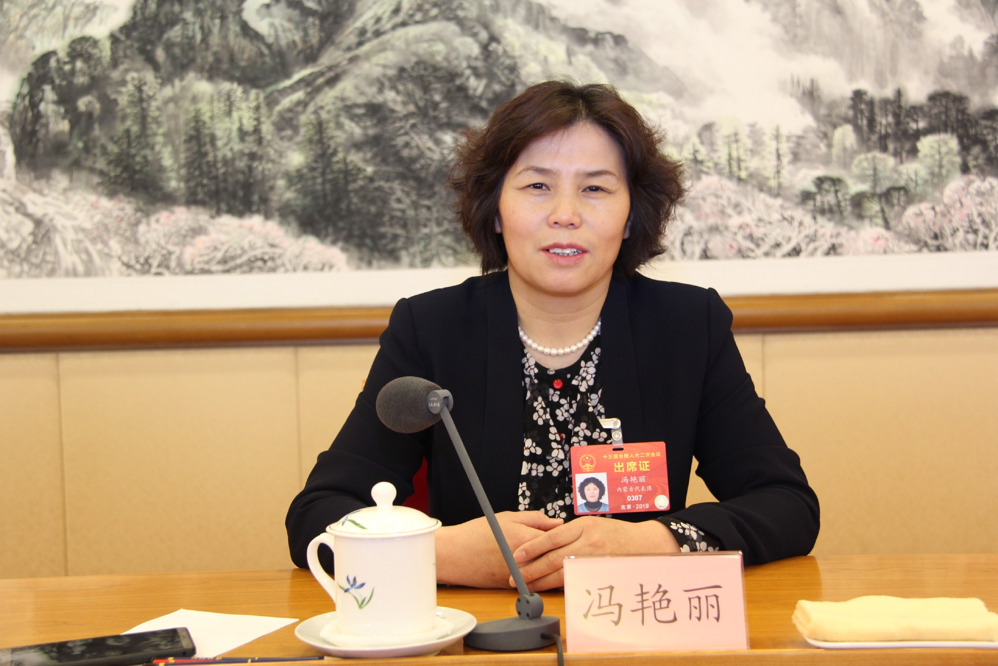 全国人大代表冯艳丽世上无难事只要肯登攀