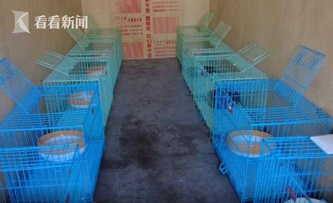 上海首个动物方舱！照顾“毛孩子” ，解决转运居民后顾之忧休闲区蓝鸢梦想 - Www.slyday.coM