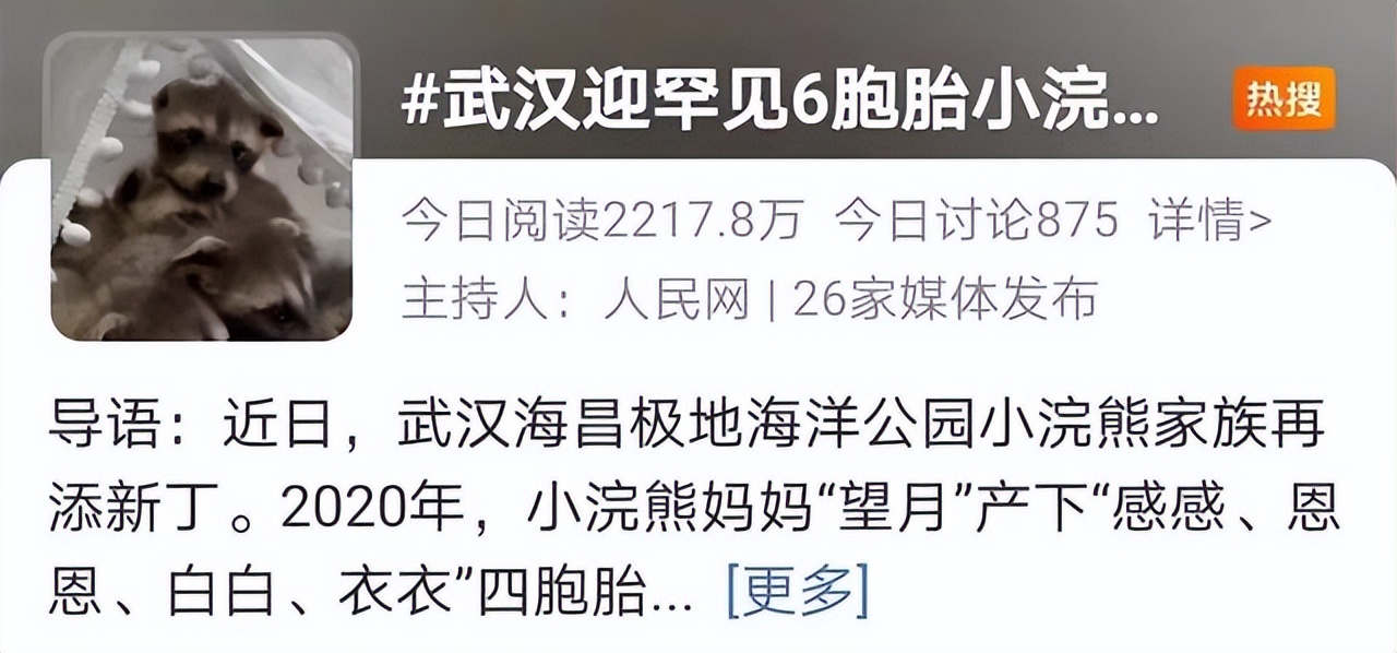 武汉罕见六胞胎上热搜了 网友为起名操碎了心休闲区蓝鸢梦想 - Www.slyday.coM