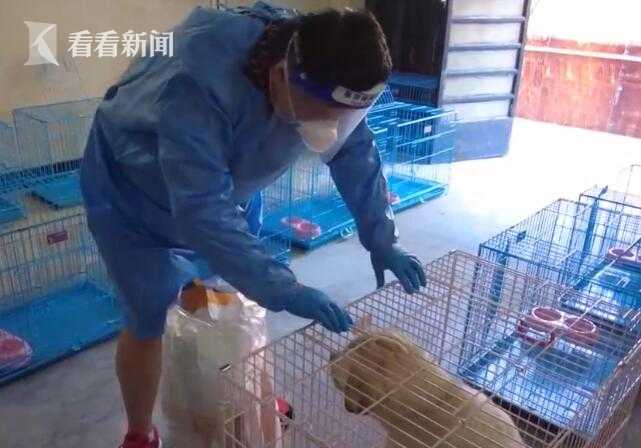 上海首个动物方舱！照顾“毛孩子” ，解决转运居民后顾之忧休闲区蓝鸢梦想 - Www.slyday.coM