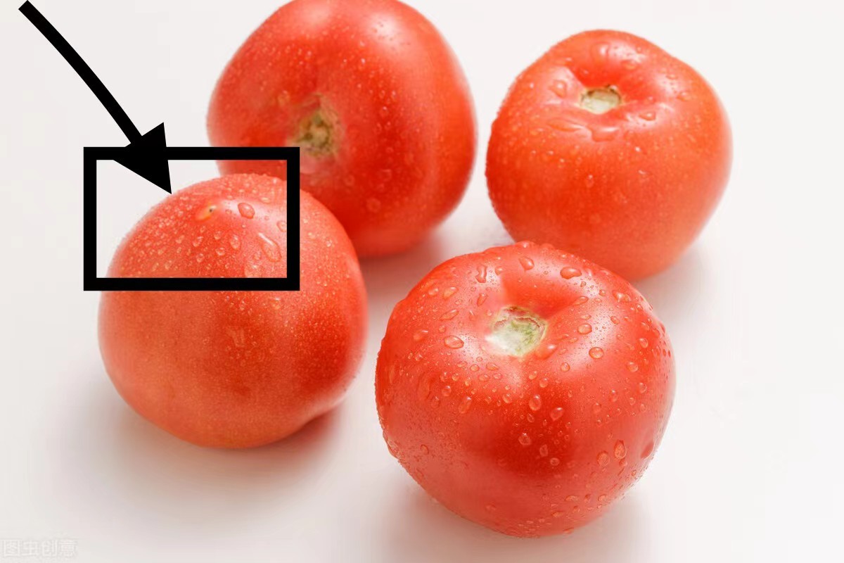 西红柿也分公母老菜农的2个小妙招沙甜多汁不花冤枉钱