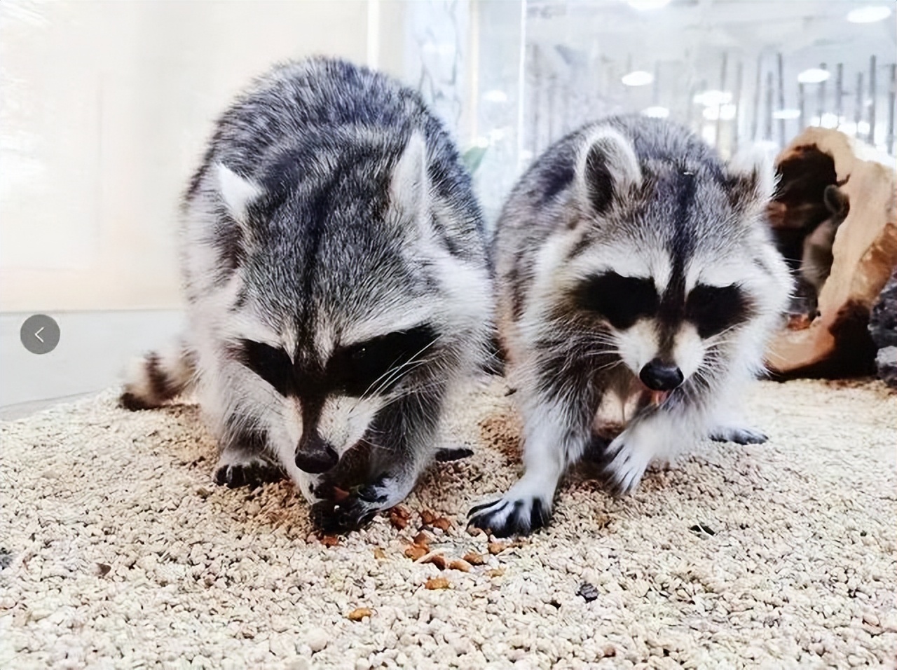 武汉罕见六胞胎上热搜了 网友为起名操碎了心休闲区蓝鸢梦想 - Www.slyday.coM