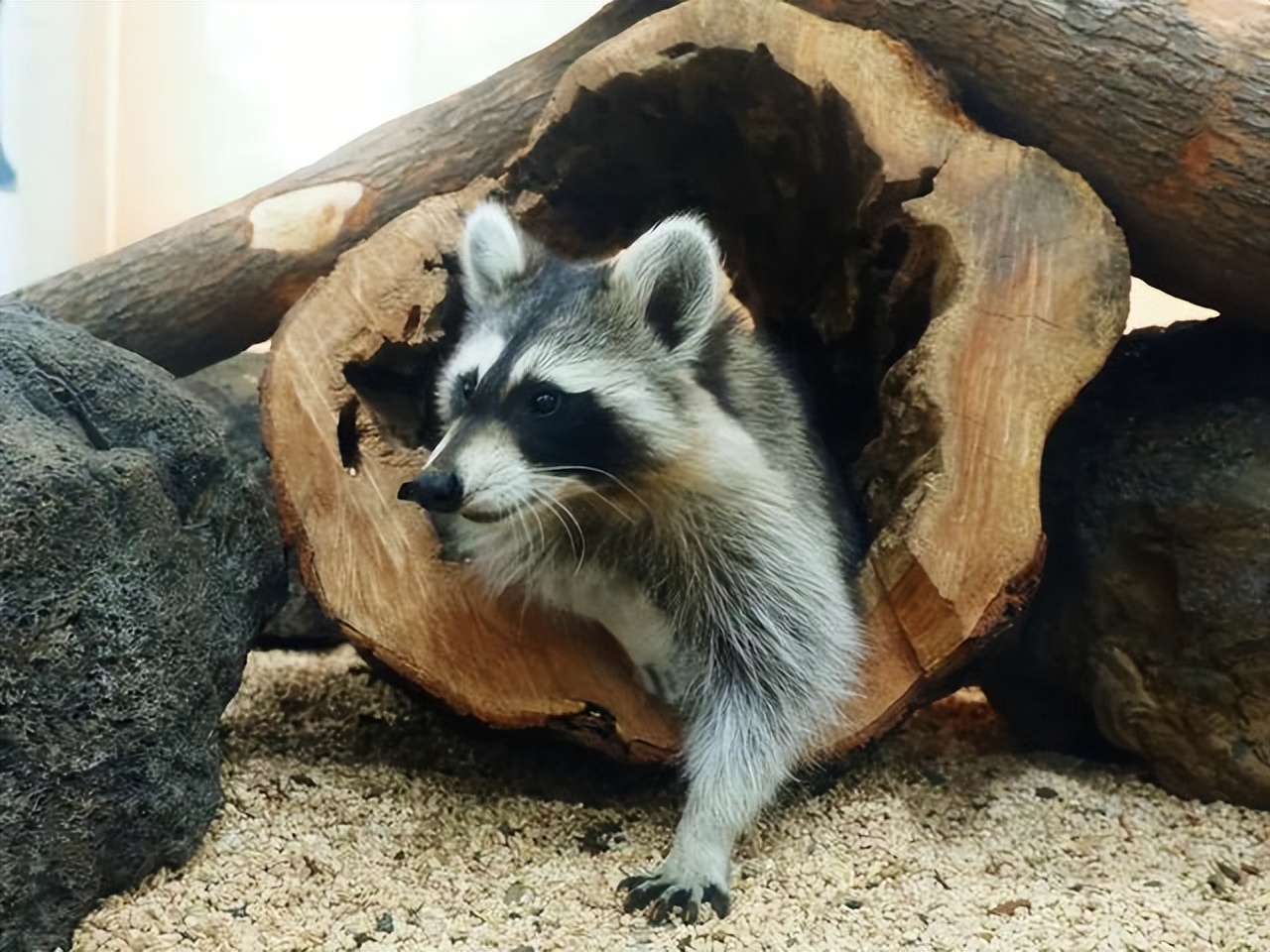 武汉罕见六胞胎上热搜了 网友为起名操碎了心休闲区蓝鸢梦想 - Www.slyday.coM