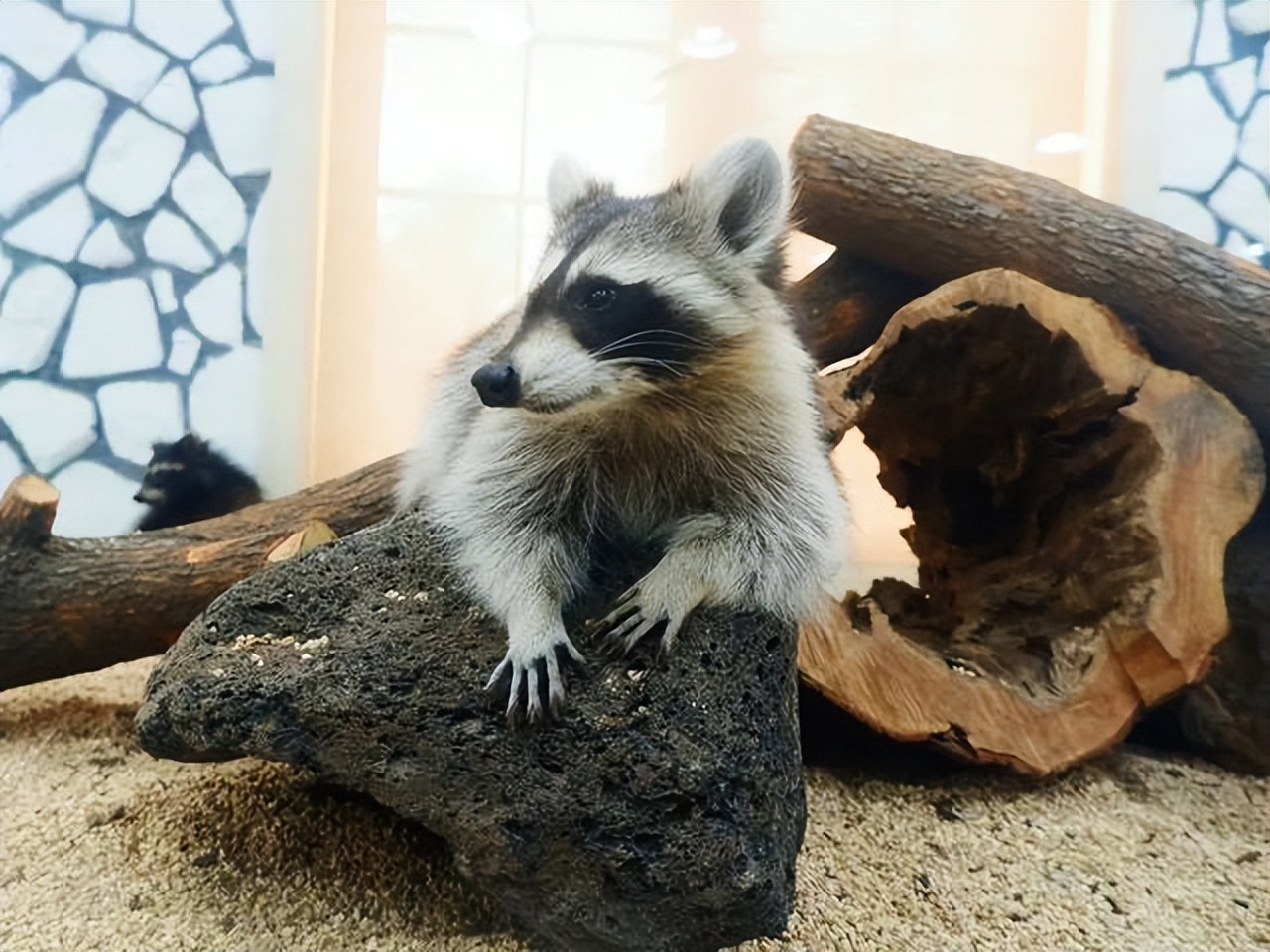 武汉罕见六胞胎上热搜了 网友为起名操碎了心休闲区蓝鸢梦想 - Www.slyday.coM