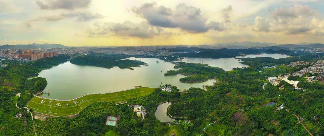 坪山区全面推行林长制打造美丽城区典范