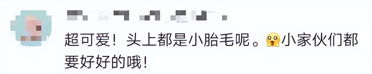 武汉罕见六胞胎上热搜了 网友为起名操碎了心休闲区蓝鸢梦想 - Www.slyday.coM