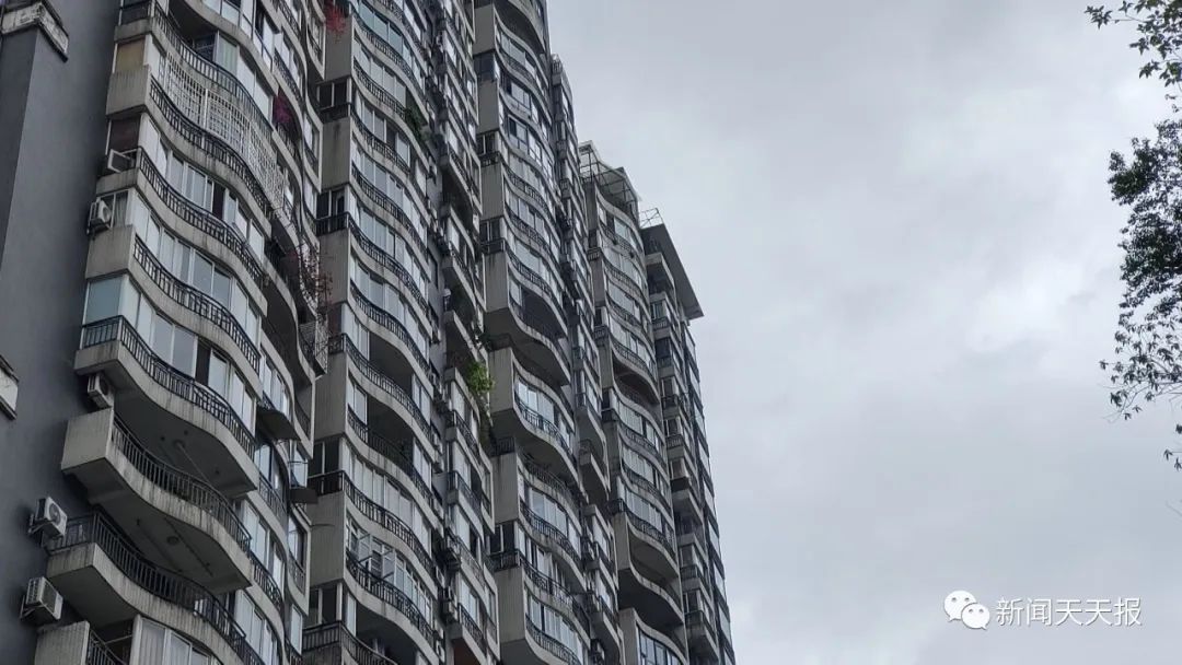 又见高空坠物！乐山一市民车辆被砸……休闲区蓝鸢梦想 - Www.slyday.coM