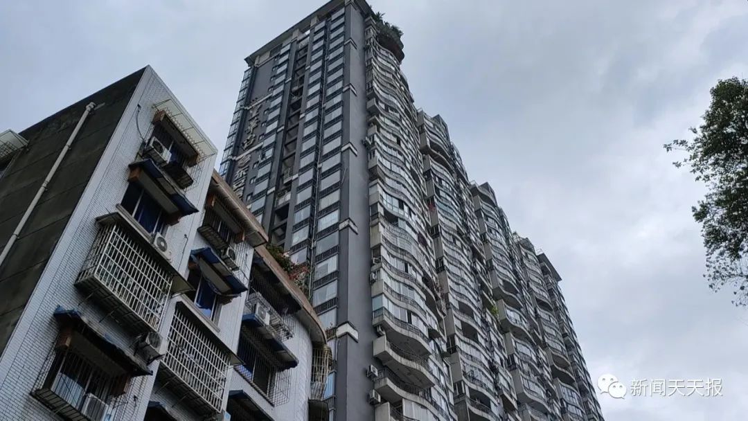 又见高空坠物！乐山一市民车辆被砸……休闲区蓝鸢梦想 - Www.slyday.coM