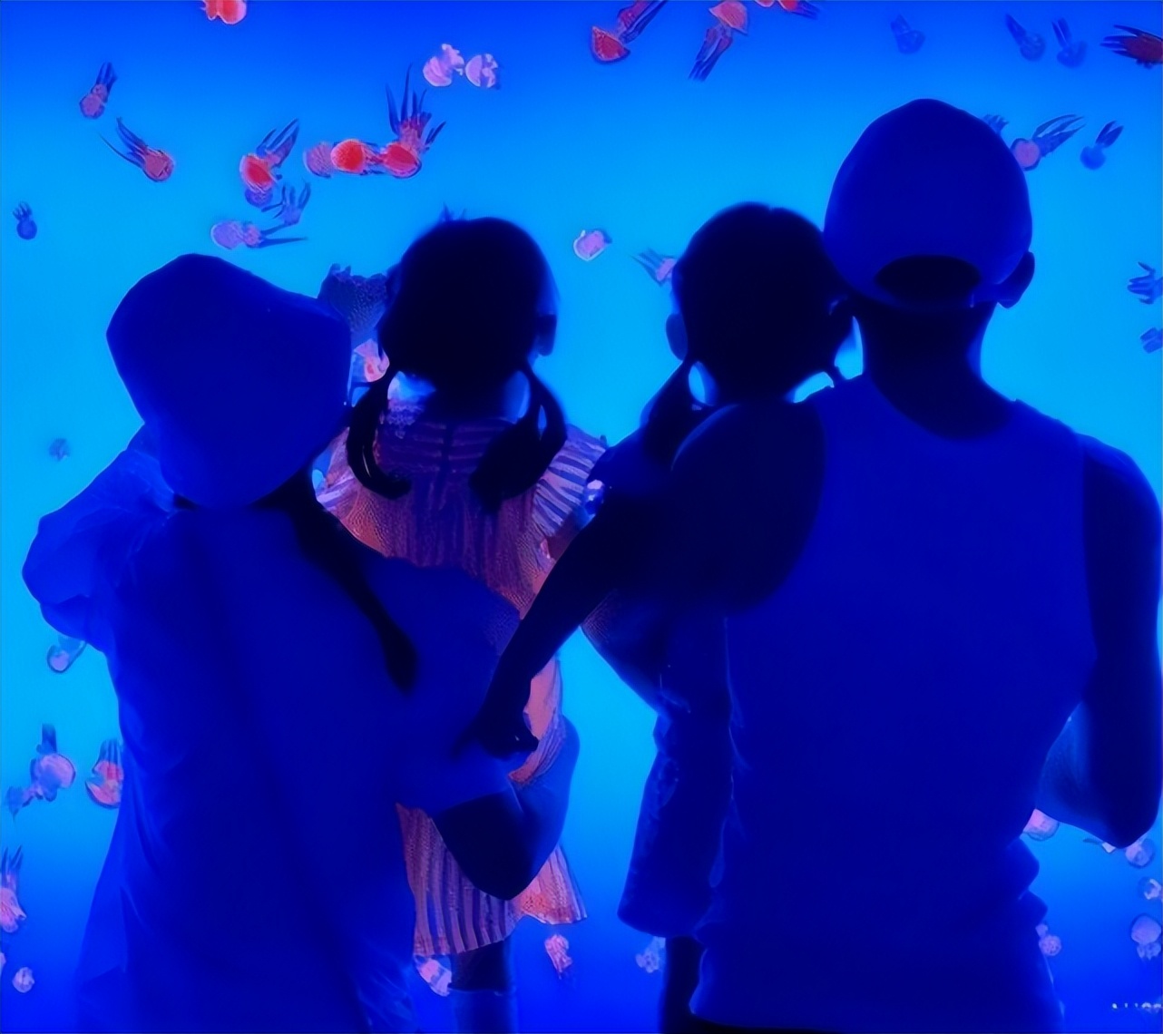 糖分超标!张杰现身谢娜综艺,穿情侣装当众上演深情对视甜齁休闲区蓝鸢梦想 - Www.slyday.coM 糖分超标!张杰现身谢娜综艺,穿情侣装当众上演深情对视甜齁休闲区蓝鸢梦想 - Www.slyday.coM