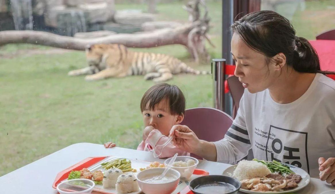 不吃饭母慈子孝,一喂饭鸡飞狗跳,如何做才能让宝宝乖乖自己吃饭休闲区蓝鸢梦想 - Www.slyday.coM 不吃饭母慈子孝,一喂饭鸡飞狗跳,如何做才能让宝宝乖乖自己吃饭休闲区蓝鸢梦想 - Www.slyday.coM