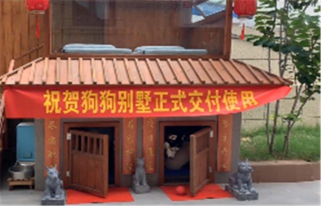 主人给狗狗打造豪华别墅，却因参与人数过多而走红，网友纷纷点赞休闲区蓝鸢梦想 - Www.slyday.coM