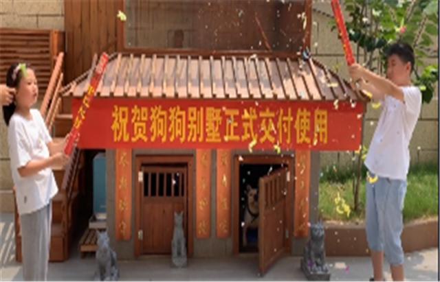 主人给狗狗打造豪华别墅，却因参与人数过多而走红，网友纷纷点赞休闲区蓝鸢梦想 - Www.slyday.coM