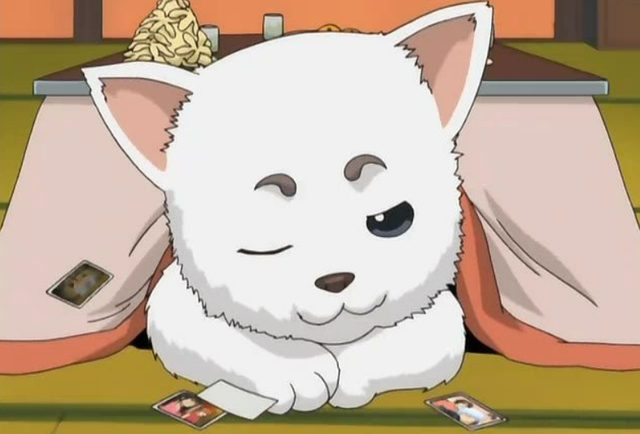 这十五只可爱到犯规的动漫萌宠,如果居家的时候有它们陪就好了