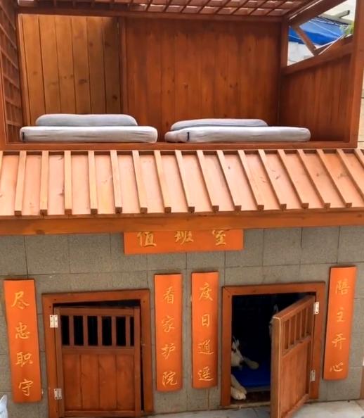 主人给狗狗打造豪华别墅，却因参与人数过多而走红，网友纷纷点赞休闲区蓝鸢梦想 - Www.slyday.coM